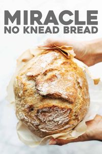 Miracle No Knead Bread! this is SO UNBELIEVABLY GOOD and ridiculously easy to make. crusty outside, soft and chewy inside - perfect for dunking in soups! #bread #baking #homemade