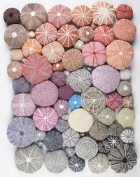 knit sea urchins. This would be cute as a headboard...