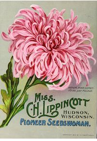 Free Vintage Flower Packets – Vintage Freebies