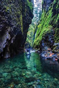 Travel | USA | Oregon | Enchanting Places | Hikes | Nature | The Outdoors | Beautiful Places | America the Beautiful