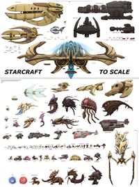 Starcraft to scale, chart