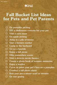 Fall brings many fun activities for pets and pet parents, like visiting the pumpkin patch with your dog, camping in the backyard, creating a DIY Halloween costume or conducting a pet fall photo shoot. Check out our fall pet bucket list ideas for some inspiration on how to spend autumn with your dog or cat. #Fall #PetBucketList #BucketList #FallActivities