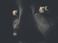 Lurking by Leslie Ann O’Dell
