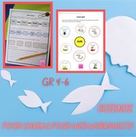 Food Chain & Food Web Worksheets BUNDLE by Innovative Teacher | TPT