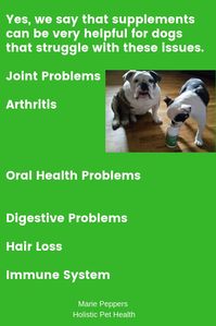 Does your dog have Arthritis, Digestive, or Immune system problems? Vet Recommended, Holistic and not sold in stores; Excellent and Tasty Pet supplement wafer.
