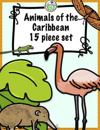 This set of 15 printable props features animals of the Caribbean, such as a manatee, flamingo, anole, Hispaniolan solenodon, Bee hummingbird, and more! Great for centers, games, sorting, and as a bulletin board! Mundo de Pepita, Resources for Teaching Languages to Children #bulletinboard #caribbean #animals