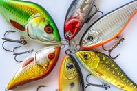 Learn all you need to know to start making your own lures - crankbaits, spinners, soft plastics and jigs. Catch more fish with our complete guide to lure making