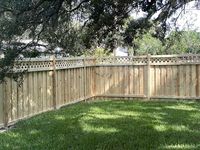 Black wood fence and DIY arbor reveal - Jenna Sue Design