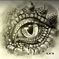 Graphite pencil drawing- dragon's eye Artist: Victoria Highet ...