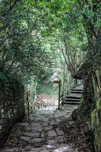 La belleza del camino hacia las cuevas de #Zugarramurdi #Navarra (Foto: Manuel Revilla - Twitter)