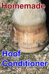 How to make homemade hoof conditioner. We tested two homemade recipes in drought conditions and came up with a simple, effective answer.