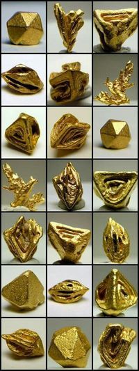 These are all natural Crystal Formed Gold from Venezuela. Wow, we love this stuff here at CSA, these are some great examples. Nature is wonderful. Geology Wonders