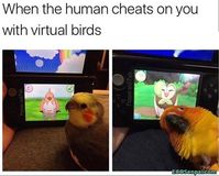 cheats.. - ECOSenpai