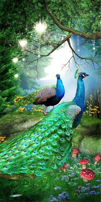 Pavão | As Mais Belas Obras de Arte com Pavões