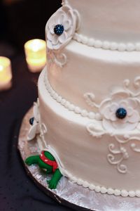 Miss Patii Cake, Snow Hill MD. Ninja Turtle peeking out as a surprise to groom. Photo credit: Sarah Murray Photography, Berlin Maryland.