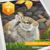 Colored Pencil Drawing: Young Rabbit | Art Classes