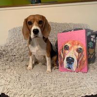 If I didn’t know better... #artimitateslife #lifeimitatesart #emme #beagle #beaglequeenbee #topshelfbeagles michaelsstores