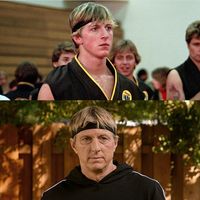 — Karate Kid // Cobra Kai Daniel LaRusso Johnny...