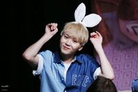 180728 Seventeen YMMD Fansign in Ilja Art Hall (Apgujeong) #세븐틴 #seventeen #seungkwan #boo