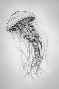 Fhöbik - Jellyfish by Fhöbik Artwork, via Behance