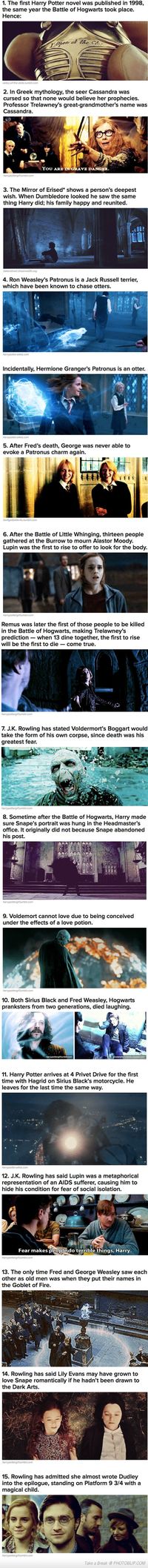 So many great things about the Harry Potter Universe. It was my childhood.SHE SHOULD'VE WRITTEN A MAGICAL CHILD THAT WAS THE CHILD OF DUDLEY!!!!