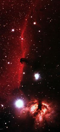 The Horsehead Nebula complex in Orion