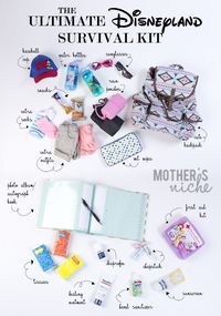 Disneyland Survival Kit. Great info! This blog has EVERYTHING about planning a Disney trip!