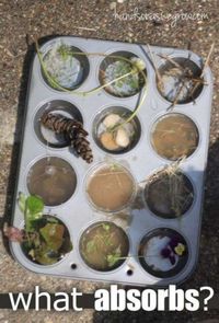 Vilka naturföremål absorberar #vatten? Låt barnen prova med olika saker de hittat i naturen. #experiment #diy #natur #no #naturkunskap #barn #förskola #skola #lärare #pedagog