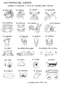 Song about the parts of the body in Spanish