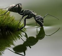 Amazing awsome nature picture