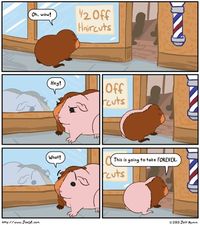 Cheezburger.com - Crafted from the finest Internets.