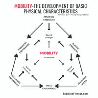 Mobility Model, Training Theory , Frank Dick