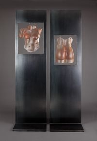 Artist: Lucy Lyon Title: Carapace Process: Cast glass and steel stand Size: 75 x 20.5 x 20 Inches Year: 2016 Please contact the gallery for pricing Habatat Galleries 248.554.0590 – info@habatat.com