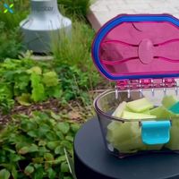 #SnacTripster, with its crystal clear containers and attached lids, are the next generation of food travel kits. FDA certified food-safe, SnacTrispter is the food travel kit evolved. #evolution #nextgeneration #foodtravel