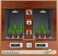 Photosynthesis Virtual Lab Photosynthesis Lab → Question: Which colors of the light spectrum are most important for plant growth?