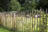 Wij snappen heel goed dat u met het mooie weer graag de hele dag in uw tuin wilt zitten. Maar zou u het dan niet leuker vinden als uw tuin een mooie omheining heeft? Dit kastanje hekwerk/ schapenhek/ rasterhekwerk is daar zeker geschikt voor! Neem een kijkje op onze site voor de verschillende mogelijkheden met betrekking tot de maten. #hekwerk #schapenhek #Staketenzaun #ganivelle