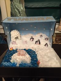 Eli's very own Tundra biome diorama