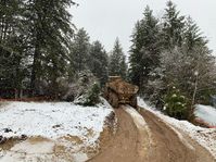 Renseignements, conseils et devis gratuits pour vos locations de matériel. #EnginsLourds #Location #Machine #Matériel #Dumper #Tombereau #BELL #B25D