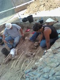 ossos arqueologia em évora | geografismos.com