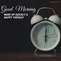 65+ Beautiful Good Morning Tuesday Images