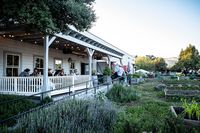 Food Culture travel in Los Alamos, California. #placestovisit #weekend