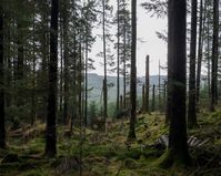 A dystopian vision of Dartmoor unfolds in Robert Darch’s haunting photographs
