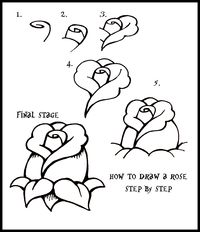 How To Draw flowers | Daryl Hobson Artwork: How To Draw A Rose: Step By Step Guide