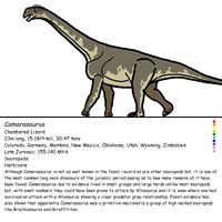 Camarasaurus by https://whitedragon66.deviantart.com on @DeviantArt