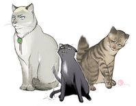 by ricken-art