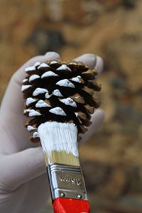 HerzStück - Tannenzapfen DIY, Pine cone DIY