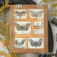 Moth Study Curio Card by Juliana Michaels featuring Tim Holtz Stampers Anonymous Moth Study and Tiny Toadstools