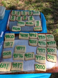 House number cookies for a neighborhood party