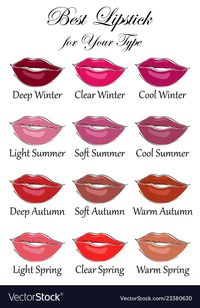Best lipstick colors for all types of appearance Vector Image