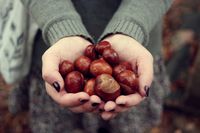 nuts